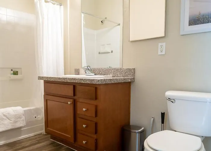 Apartment Landing - Modern With Amazing Amenities *